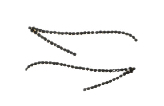 Cat eye - CHEFREE BEAUTY
